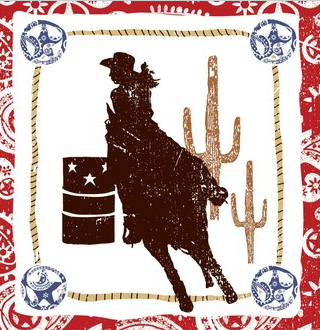 cowgirl party theme supplies