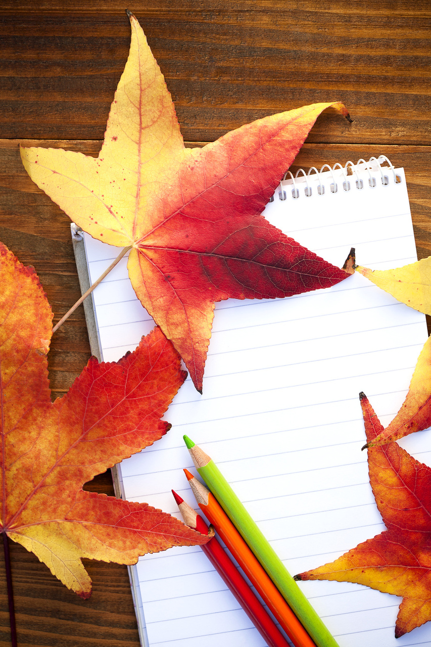 Creative Leaf Crafts